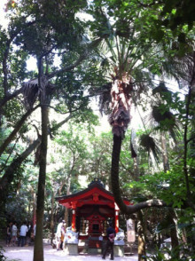 2013060406.jpg