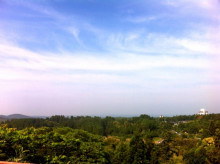 2013061002.jpg